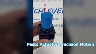 Festo LRP-14-2,5 المحرك الخطي الهوائي