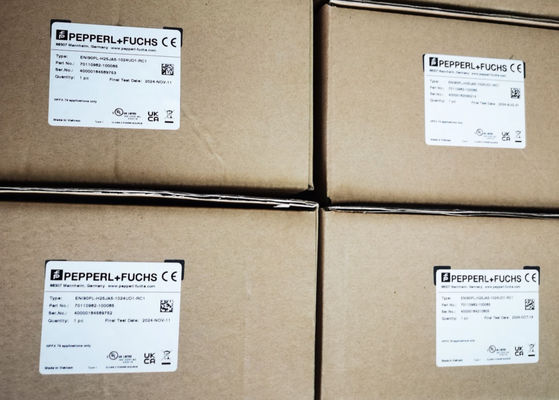 Pepperl Fuchs ENI90PL-H25JA5-1024UD1-RC1 مكشف دواري متزايد مع 300 ns وقت الارتفاع و 0.1% خطأ خطية