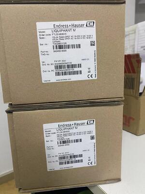 مفتاح مستوى نقطة فيبرونيك Endress Hauser FTL50-1DN80/0